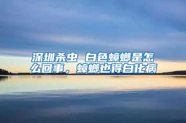 深圳殺蟲(chóng) 白色蟑螂是怎么回事，蟑螂也得白化病