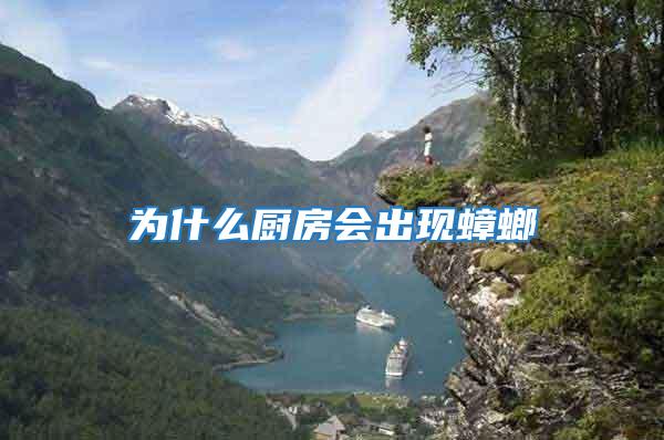 為什么廚房會(huì)出現(xiàn)蟑螂