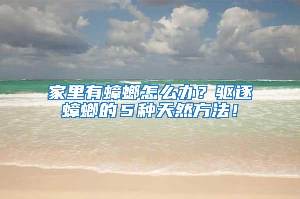 家里有蟑螂怎么辦？驅逐蟑螂的５種天然方法！