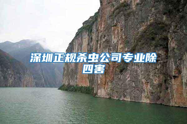 深圳正規(guī)殺蟲公司專業(yè)除四害