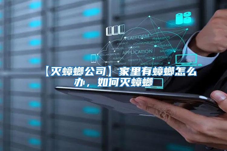【滅蟑螂公司】家里有蟑螂怎么辦，如何滅蟑螂