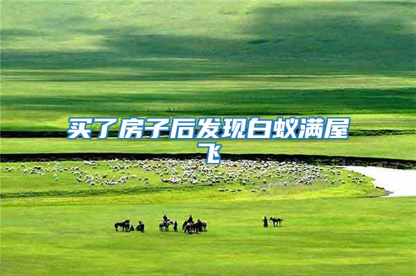 買(mǎi)了房子后發(fā)現(xiàn)白蟻滿屋飛