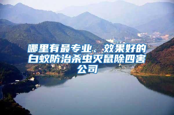 哪里有最專業(yè)、效果好的白蟻防治殺蟲滅鼠除四害公司