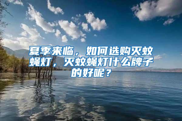 夏季來臨，如何選購滅蚊蠅燈，滅蚊蠅燈什么牌子的好呢？
