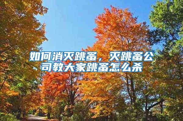 如何消滅跳蚤，滅跳蚤公司教大家跳蚤怎么殺