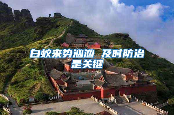 白蟻來(lái)勢(shì)洶洶 及時(shí)防治是關(guān)鍵