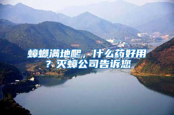 蟑螂滿地爬，什么藥好用？滅蟑公司告訴您