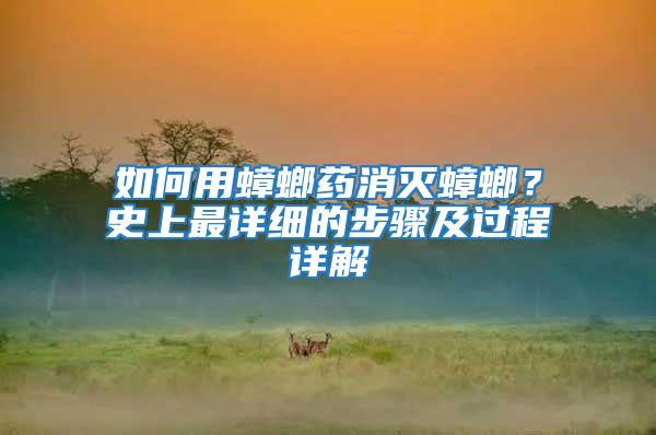 如何用蟑螂藥消滅蟑螂？史上最詳細的步驟及過程詳解
