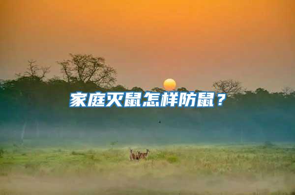 家庭滅鼠怎樣防鼠？