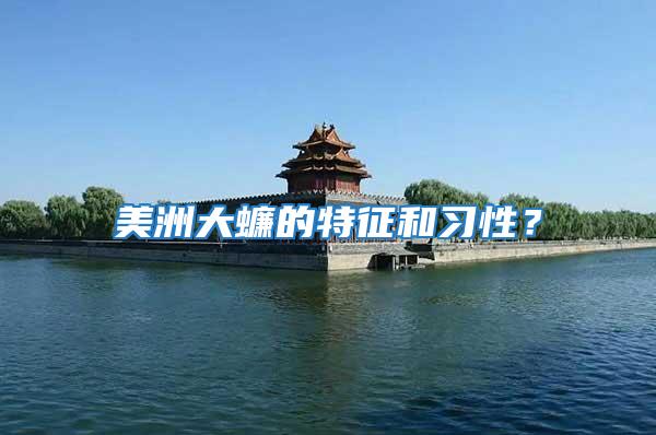 美洲大蠊的特征和習性？