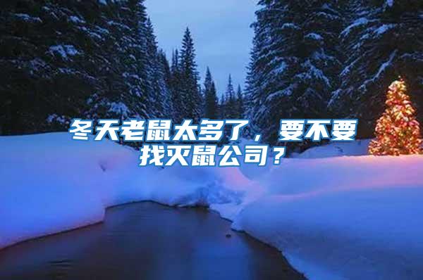 冬天老鼠太多了，要不要找滅鼠公司？