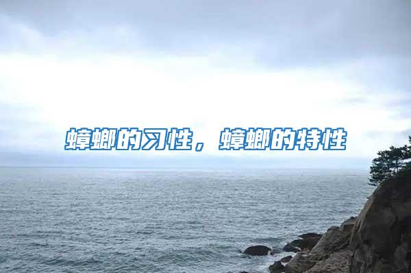 蟑螂的習性，蟑螂的特性