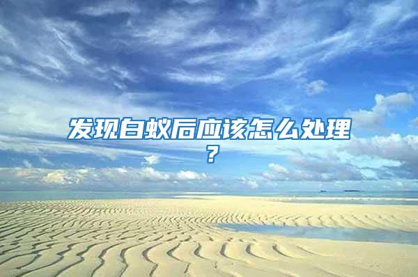 發現白蟻后應該怎么處理？