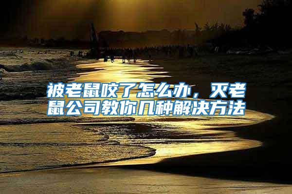 被老鼠咬了怎么辦，滅老鼠公司教你幾種解決方法