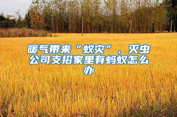 暖氣帶來“蟻災”，滅蟲公司支招家里有螞蟻怎么辦