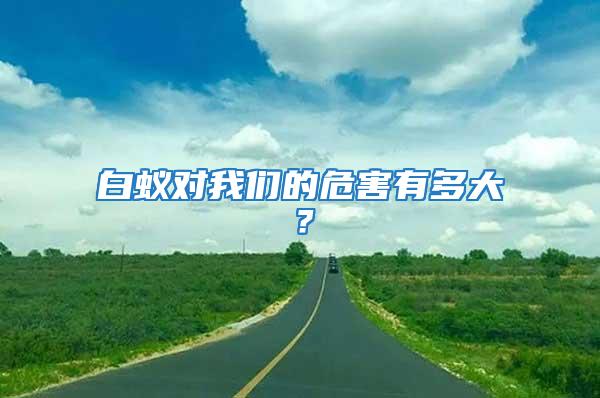 白蟻對(duì)我們的危害有多大？