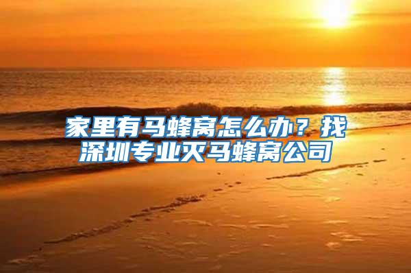 家里有馬蜂窩怎么辦？找深圳專業(yè)滅馬蜂窩公司