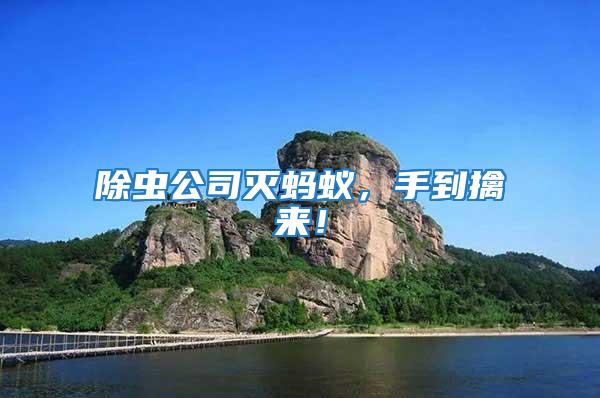 除蟲公司滅螞蟻，手到擒來！