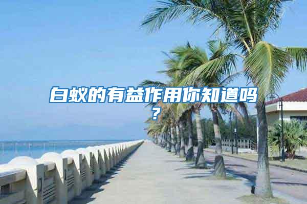 白蟻的有益作用你知道嗎？