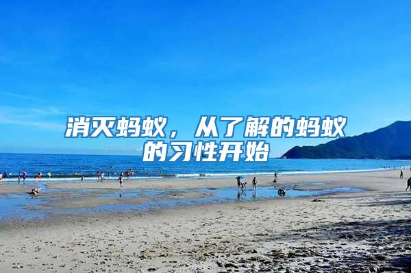 消滅螞蟻，從了解的螞蟻的習性開始