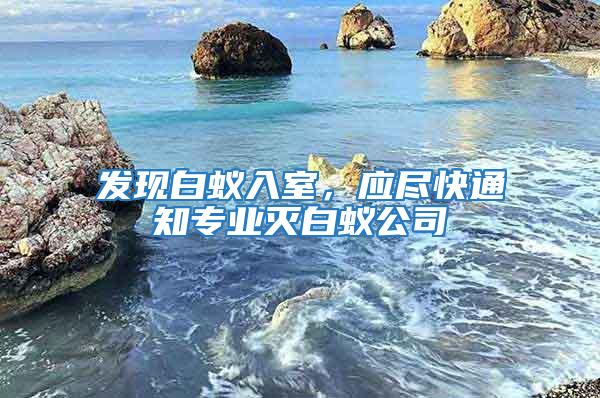 發現白蟻入室，應盡快通知專業滅白蟻公司
