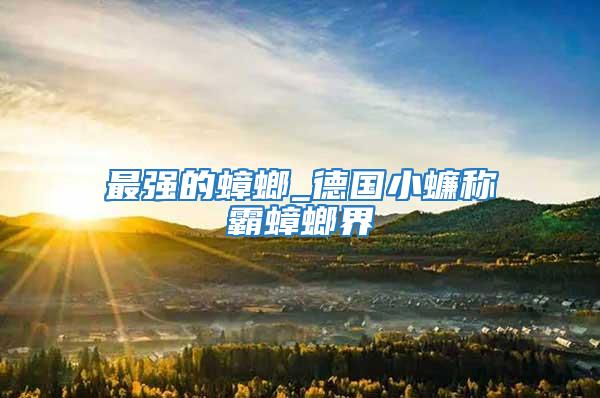 最強(qiáng)的蟑螂_德國(guó)小蠊稱霸蟑螂界