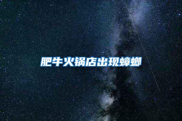 肥?；疱伒瓿霈F蟑螂