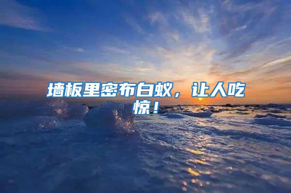 墻板里密布白蟻，讓人吃驚！