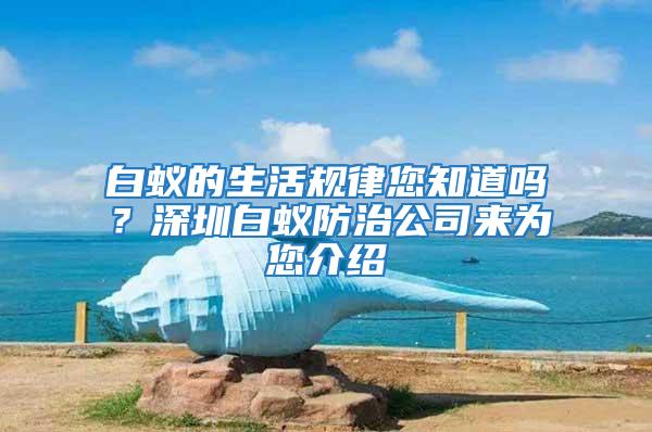 白蟻的生活規(guī)律您知道嗎？深圳白蟻防治公司來為您介紹