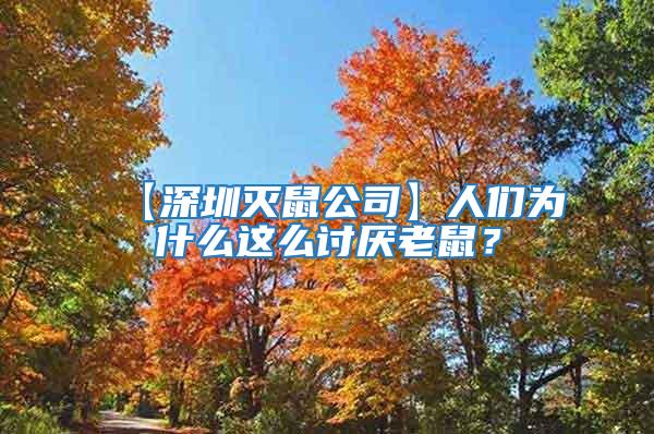 【深圳滅鼠公司】人們為什么這么討厭老鼠？