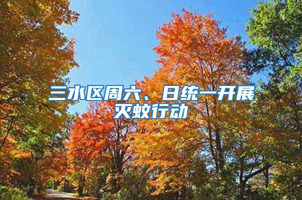 三水區(qū)周六、日統(tǒng)一開展滅蚊行動