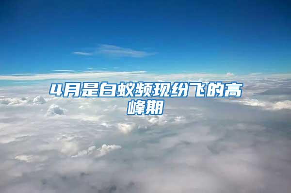 4月是白蟻頻現紛飛的高峰期