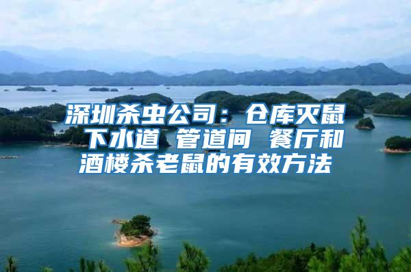 深圳殺蟲(chóng)公司：倉(cāng)庫(kù)滅鼠 下水道 管道間 餐廳和酒樓殺老鼠的有效方法