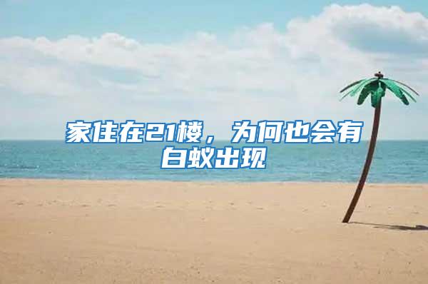 家住在21樓，為何也會有白蟻出現