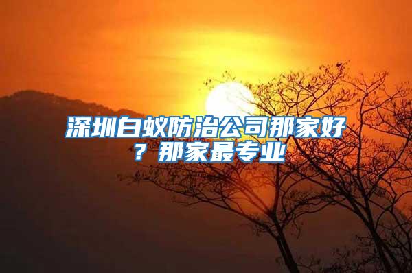 深圳白蟻防治公司那家好？那家最專業