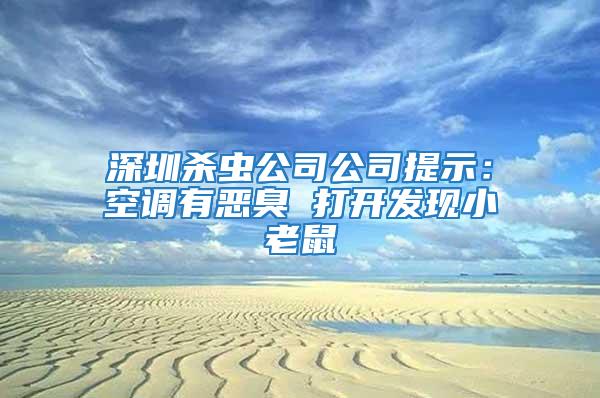 深圳殺蟲公司公司提示：空調有惡臭 打開發現小老鼠