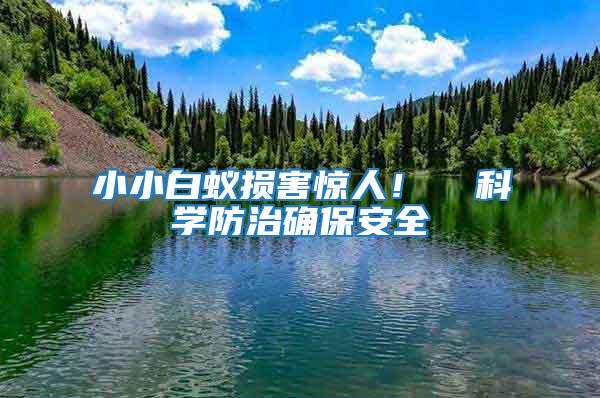 小小白蟻損害驚人！  科學防治確保安全