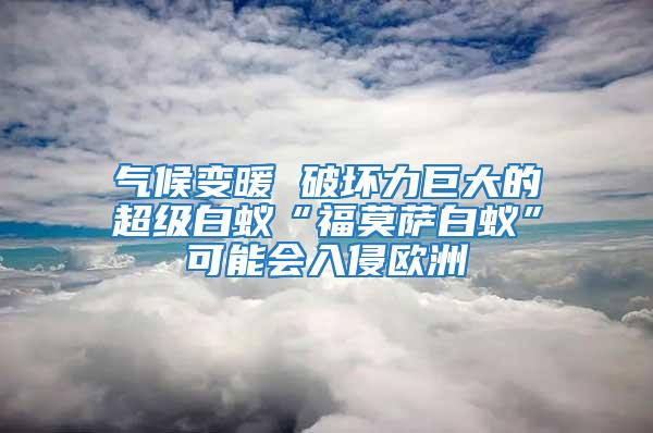 氣候變暖 破壞力巨大的超級白蟻“福莫薩白蟻”可能會(huì)入侵歐洲