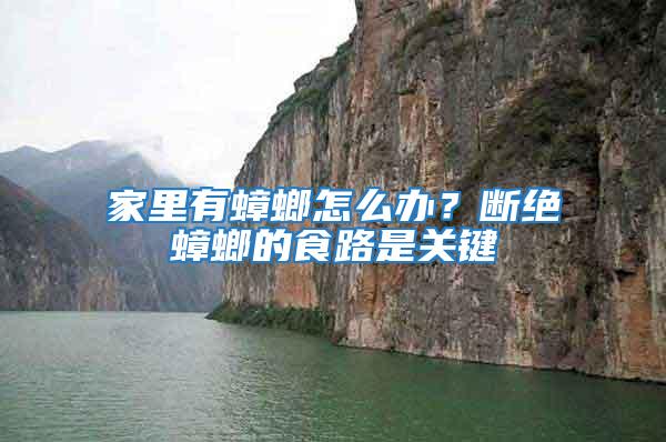 家里有蟑螂怎么辦？斷絕蟑螂的食路是關鍵