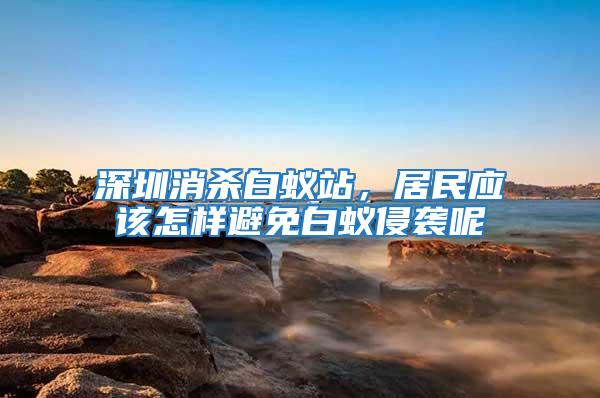 深圳消殺白蟻站，居民應該怎樣避免白蟻侵襲呢