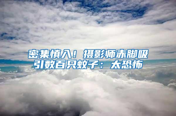密集慎入！攝影師赤腳吸引數百只蚊子：太恐怖