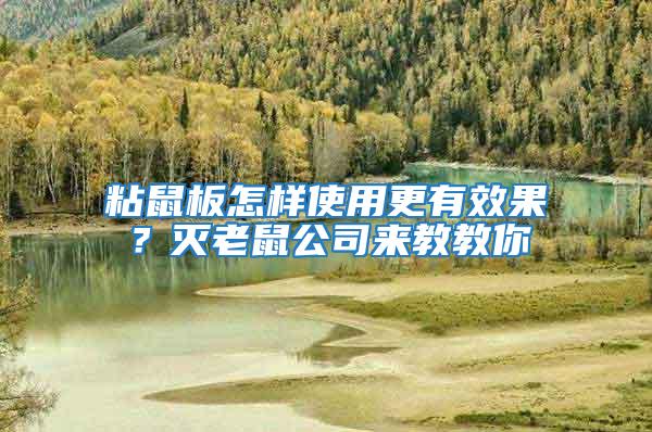 粘鼠板怎樣使用更有效果？滅老鼠公司來(lái)教教你