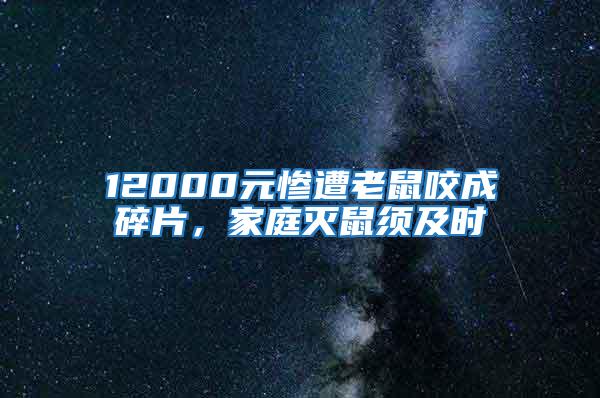 12000元慘遭老鼠咬成碎片，家庭滅鼠須及時
