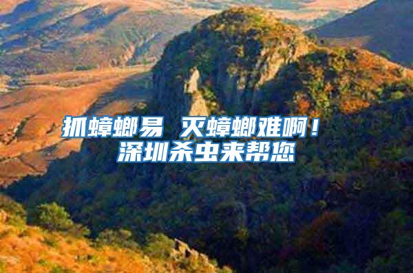 抓蟑螂易 滅蟑螂難??！ 深圳殺蟲來幫您