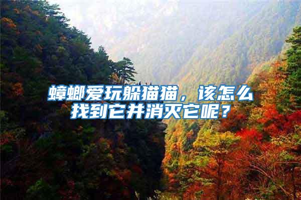 蟑螂愛(ài)玩躲貓貓，該怎么找到它并消滅它呢？