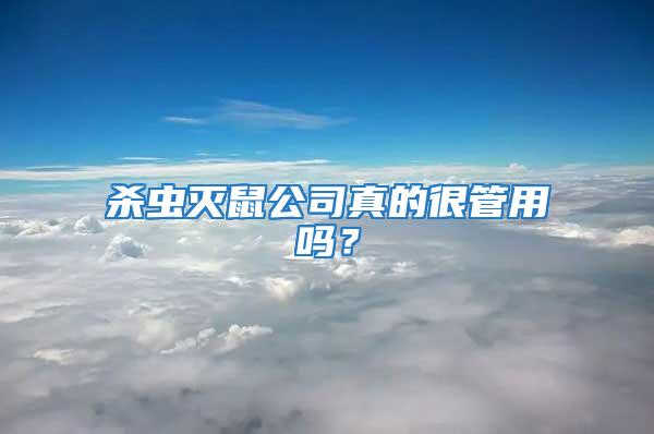 殺蟲(chóng)滅鼠公司真的很管用嗎？