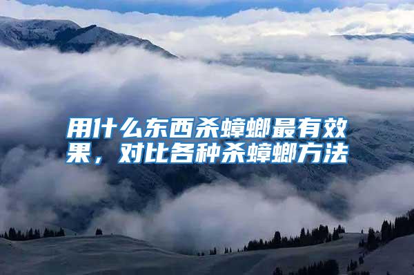用什么東西殺蟑螂最有效果，對(duì)比各種殺蟑螂方法