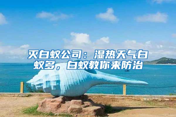 滅白蟻公司：濕熱天氣白蟻多，白蟻教你來(lái)防治