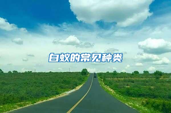 白蟻的常見(jiàn)種類