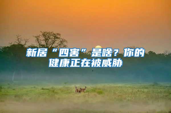 新居“四害”是啥？你的健康正在被威脅